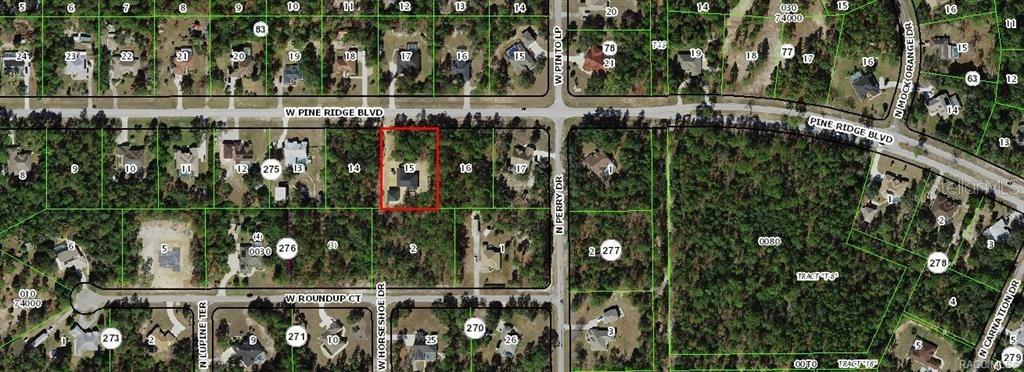 4124 W Pine Ridge Blvd Property Photo 7