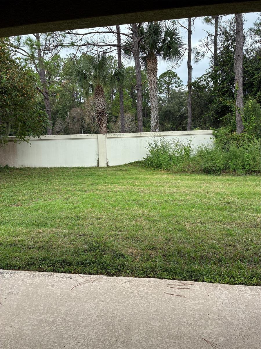 2319 Nesslewood Dr Property Photo 38