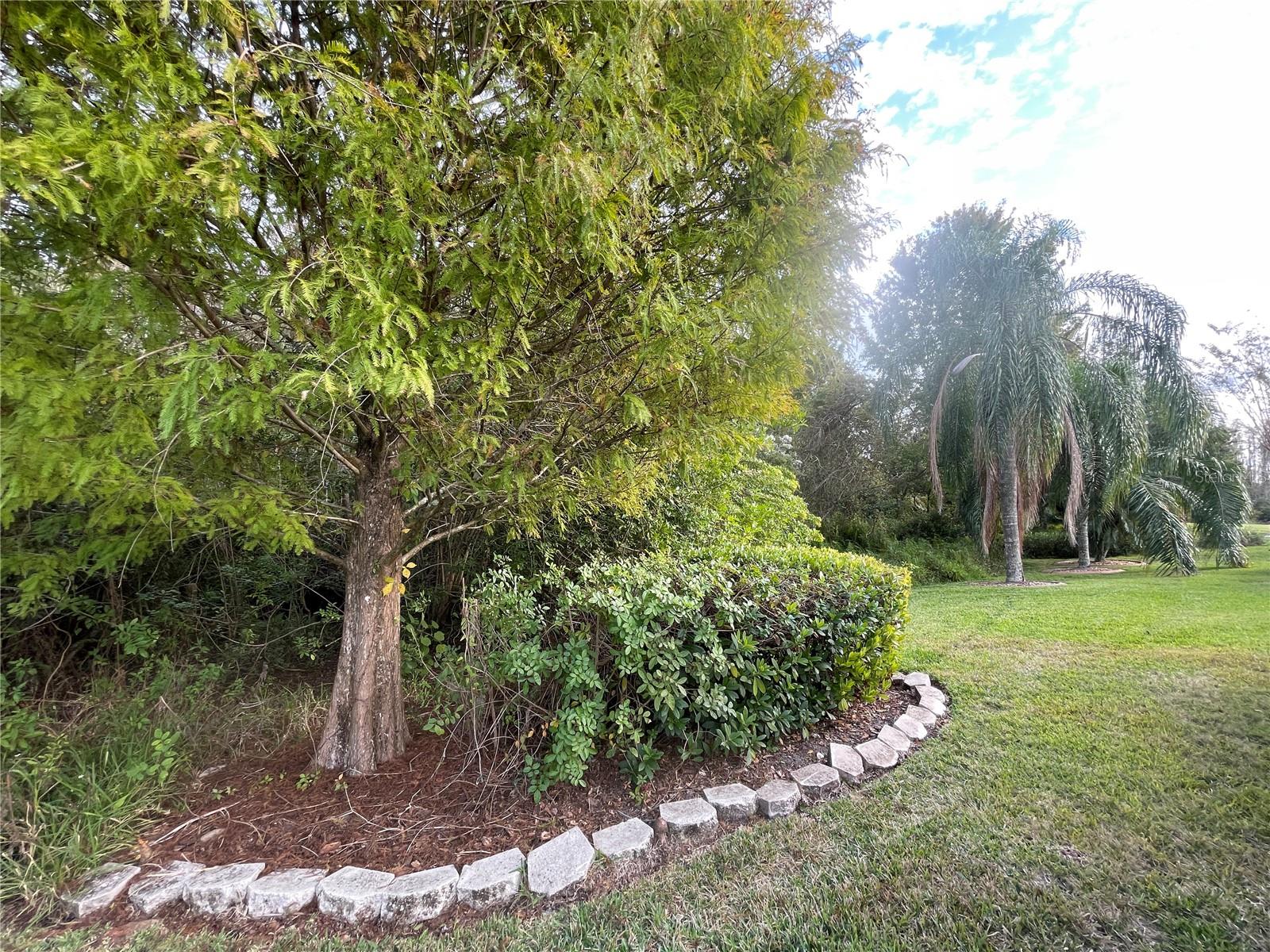 2319 Nesslewood Dr Property Photo 40