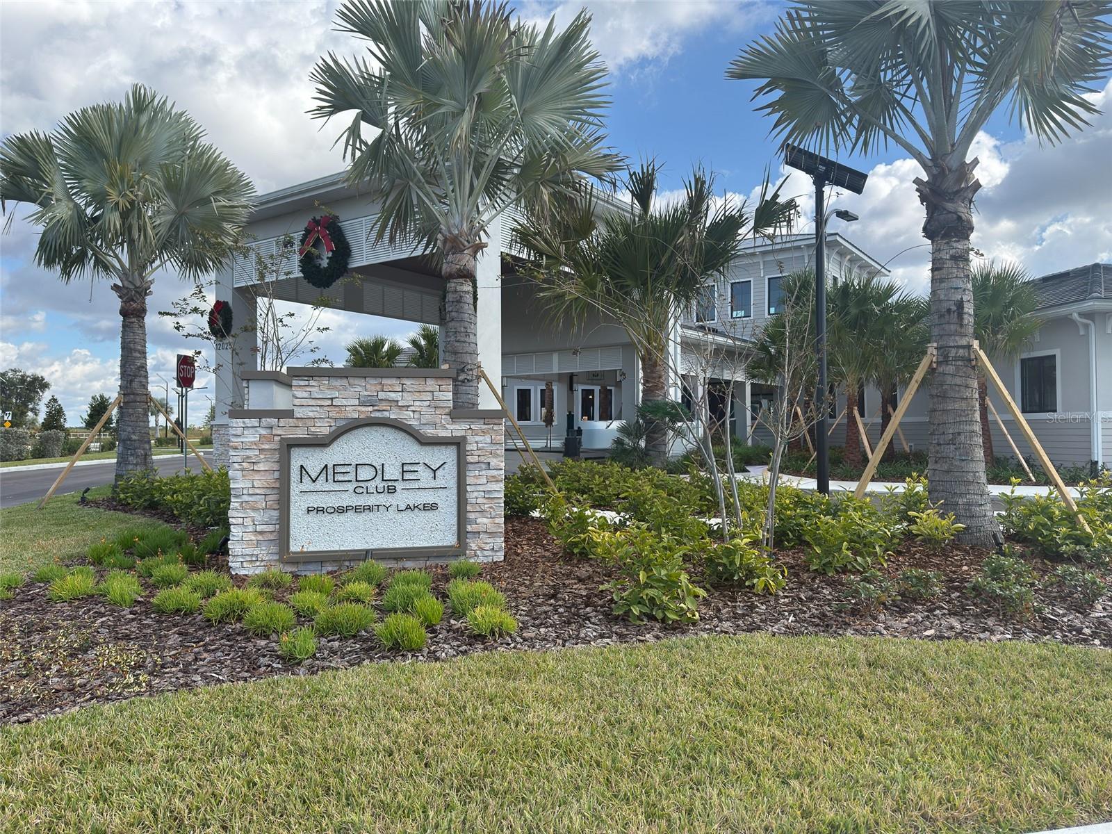 12220 Violet Jasper Dr Property Photo 40