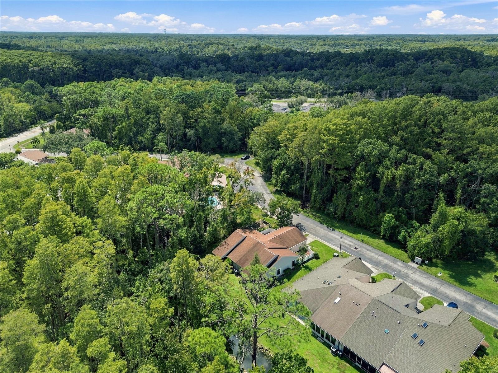 12508 Hollybrook Ln Property Photo 47