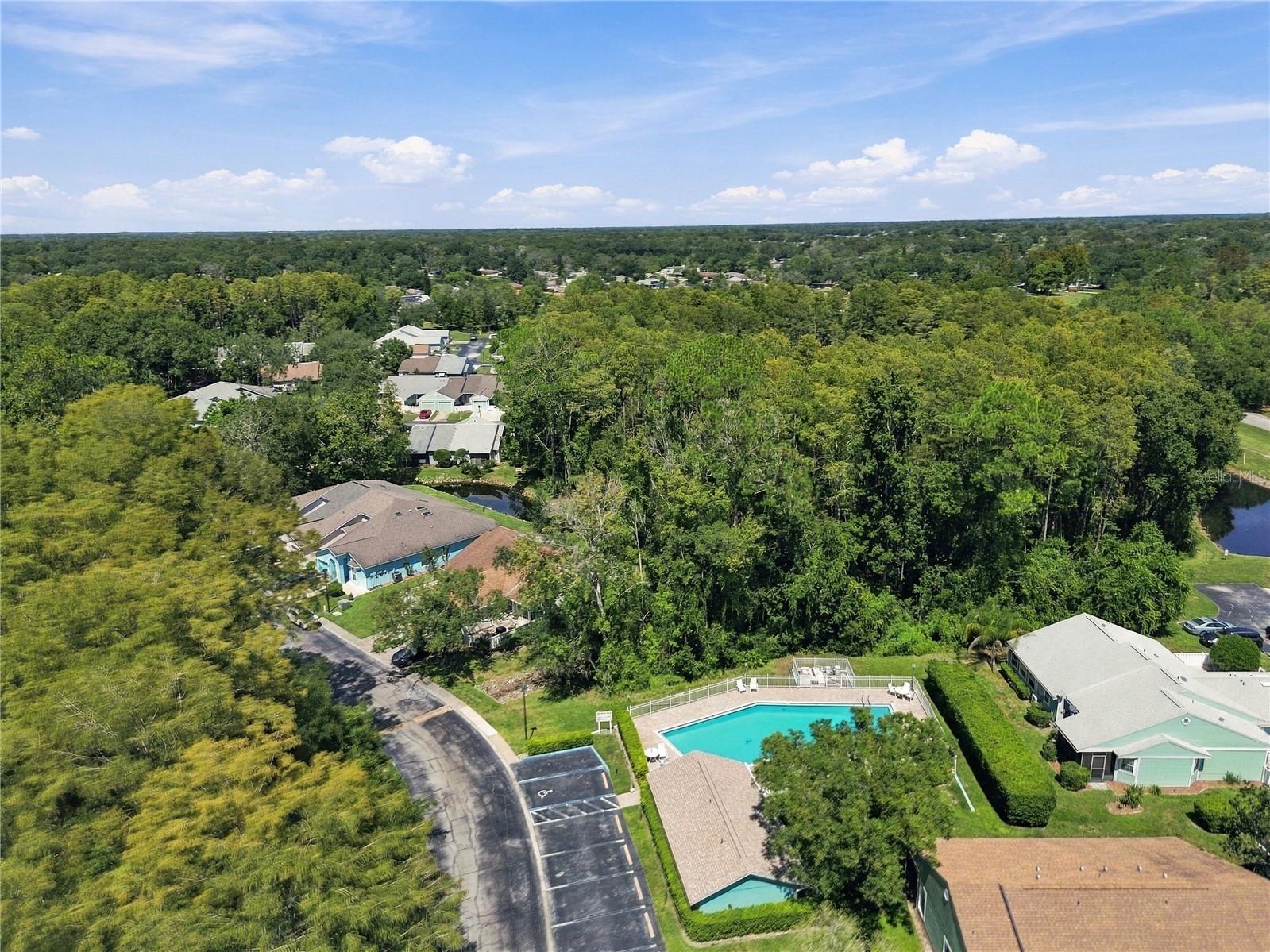 12508 Hollybrook Ln Property Photo 49