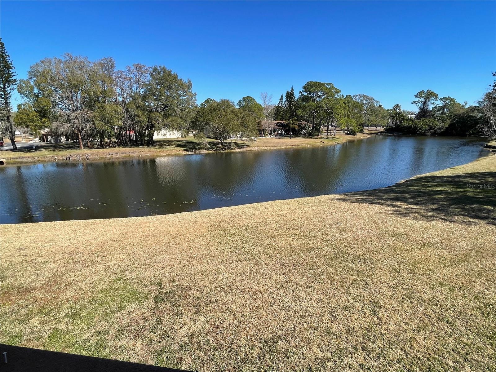 129 Camphor Cir #c Property Photo 52