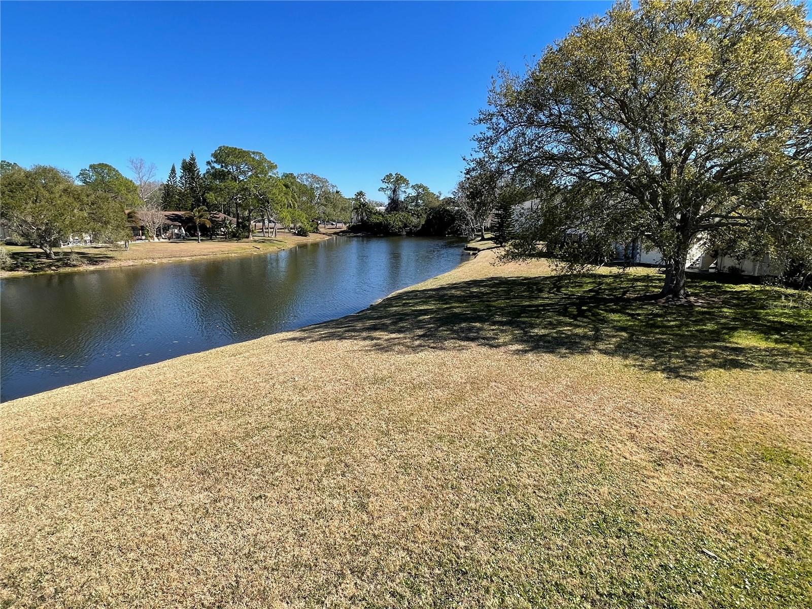 129 Camphor Cir #c Property Photo 53