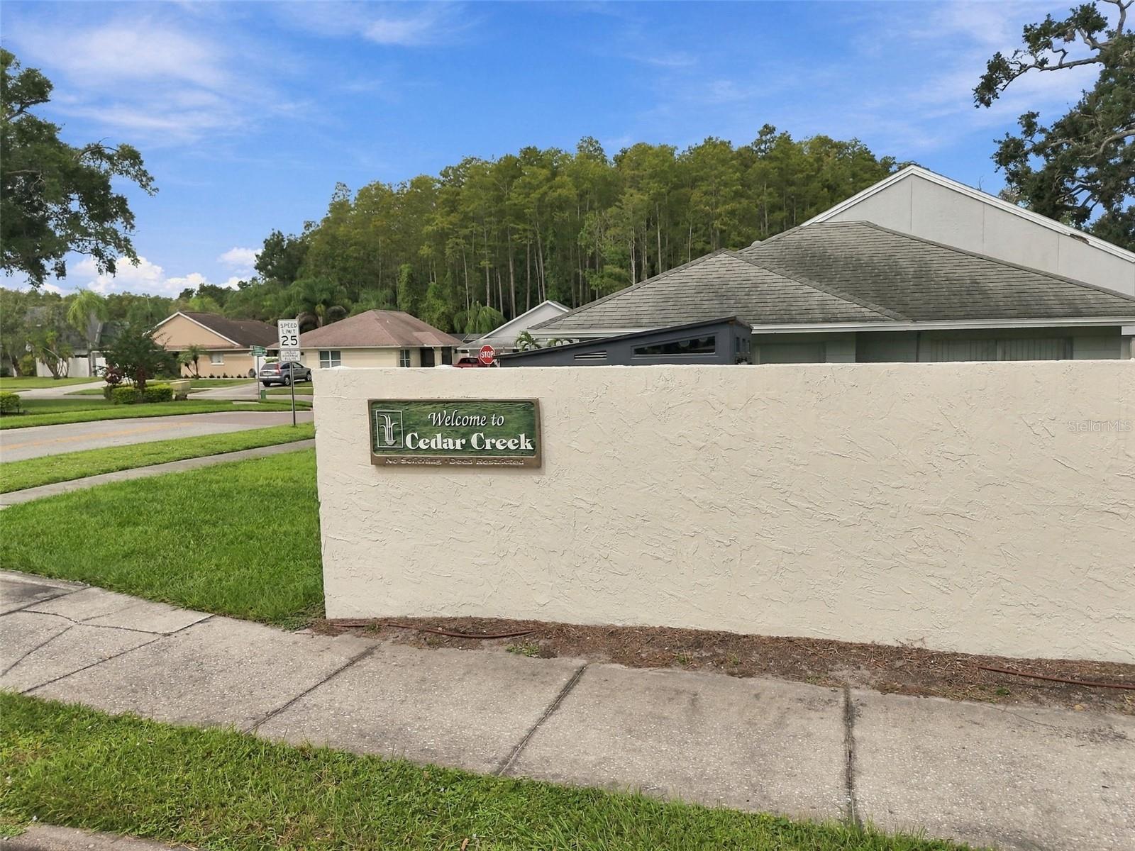 11905 Hickorynut Dr Property Photo 77