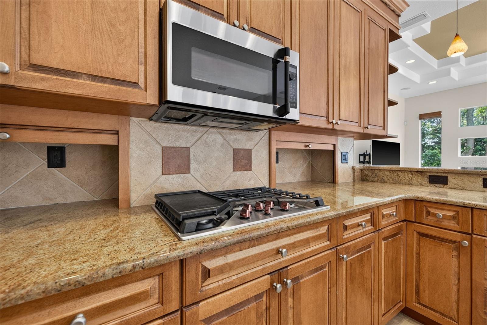 1516 Canopy Oaks Blvd Property Photo 22