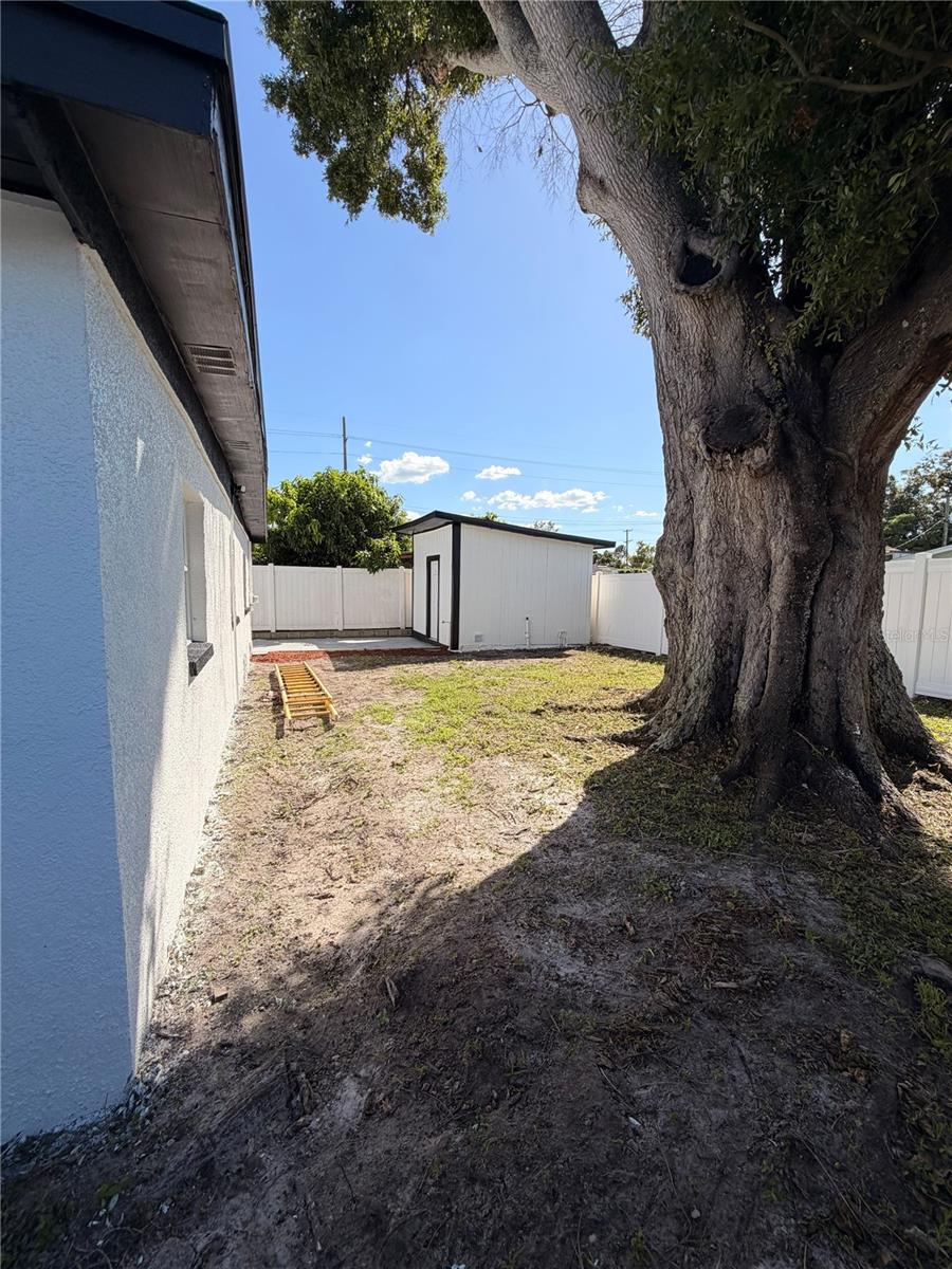 5808 N Lois Ave Property Photo 7
