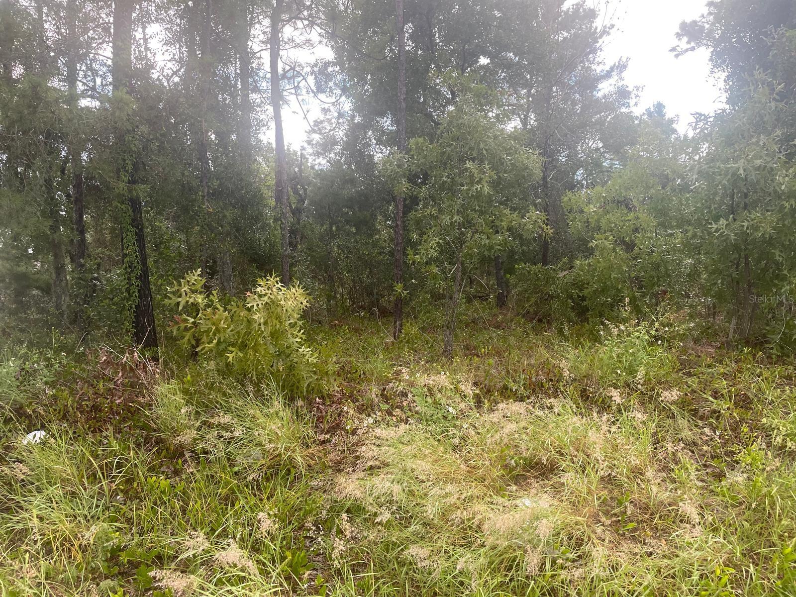 TB8550892 Property Photo 1