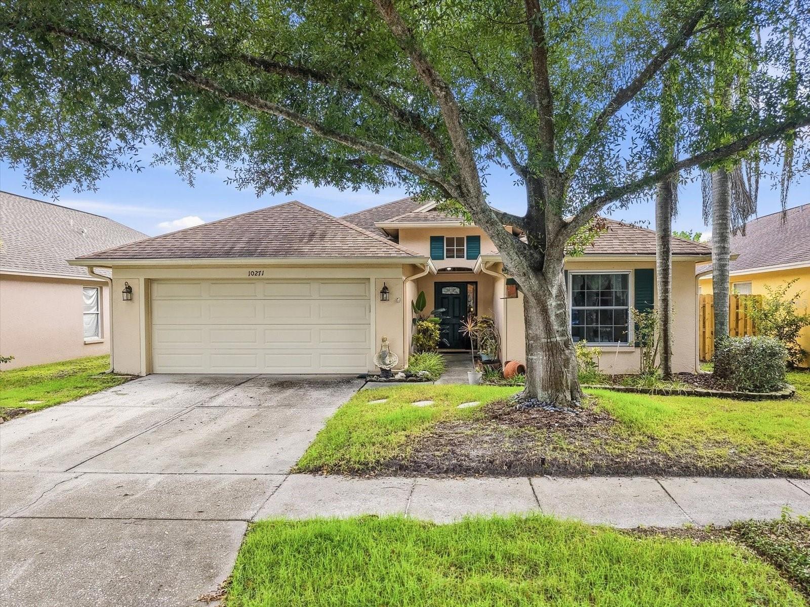 10271 OASIS PALM DR Property Photo 1