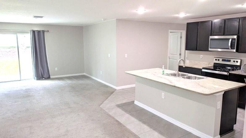 13667 Whiskey Daisy Dr Property Photo 2