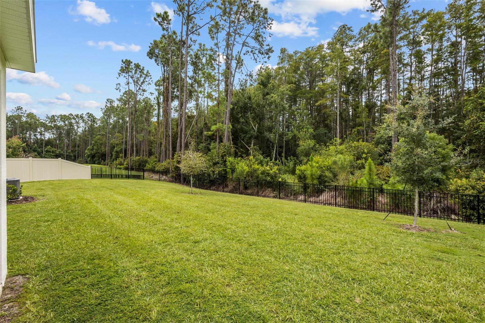6847 Daintree Ct Property Photo 5