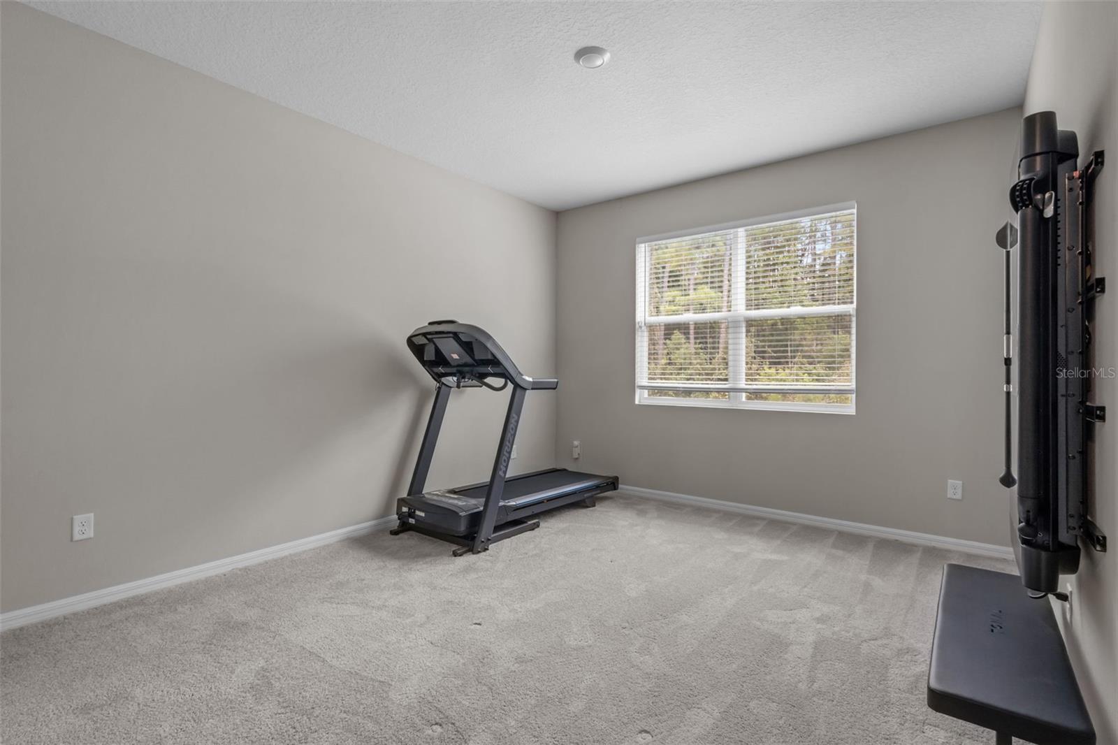 6847 Daintree Ct Property Photo 14