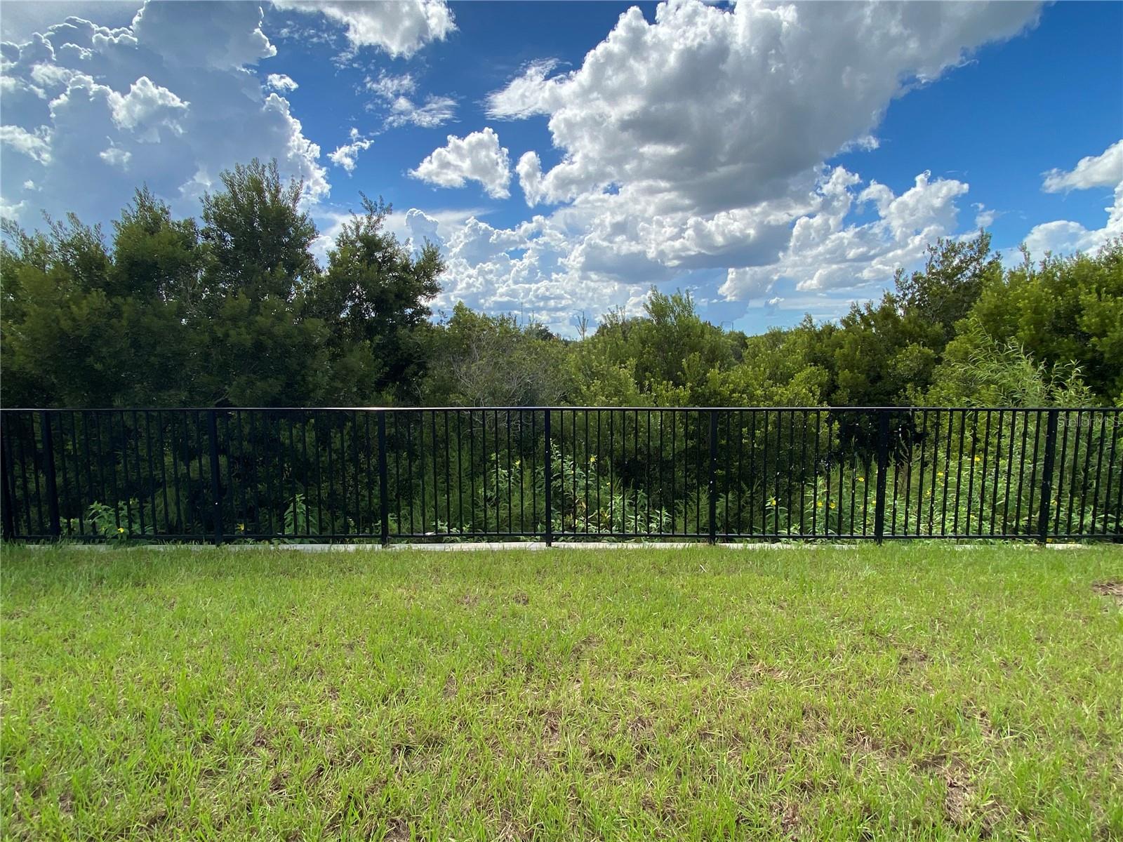 32354 Weathered Oak Dr Property Photo 30