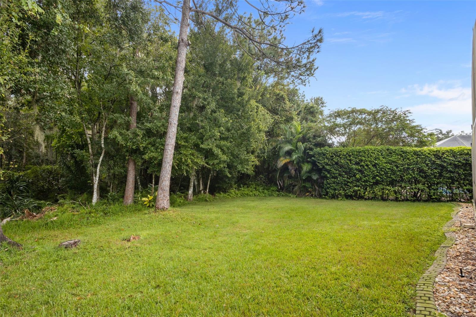 7729 Arelli Dr Property Photo 29