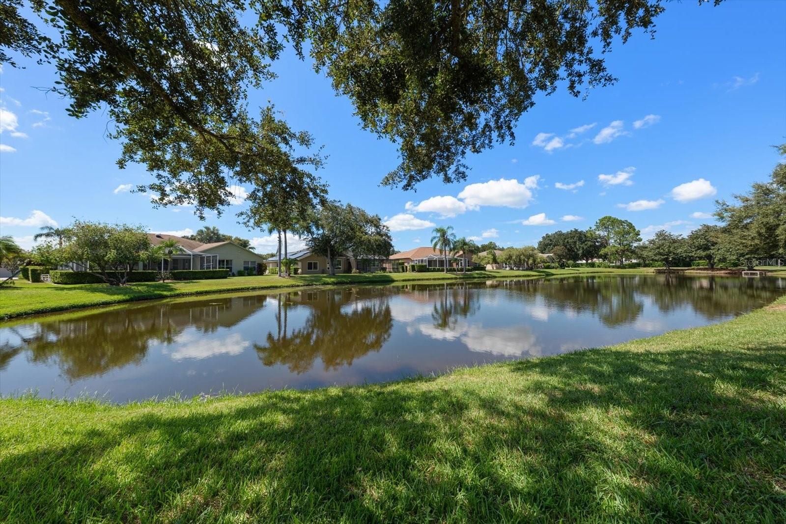 1237 Rambling Vine Ct Property Photo 47