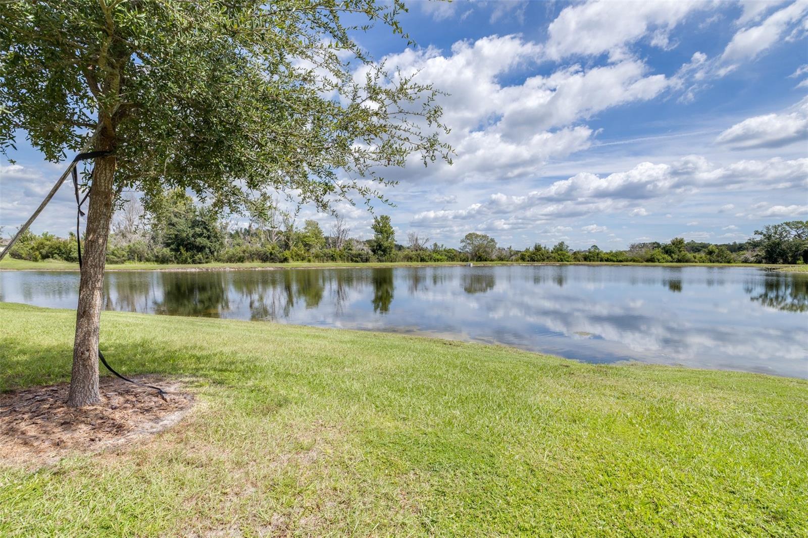 9776 Campanula Ct Property Photo 41