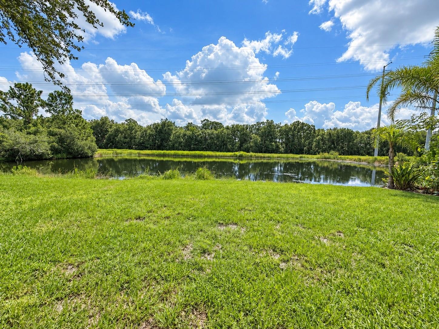 6509 Bridgecrest Dr Property Photo 17