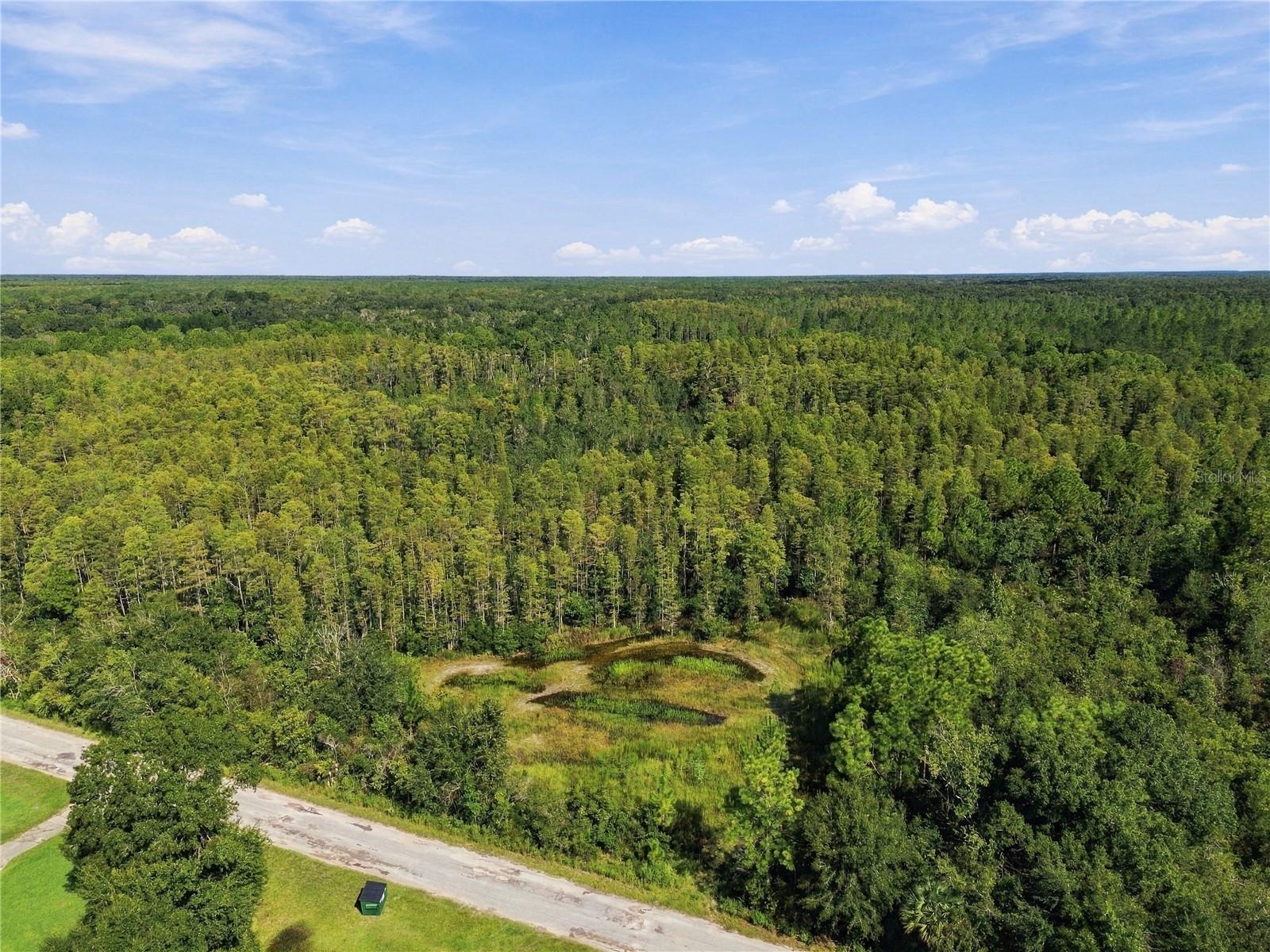 26633 Pheasant Run Property Photo 3