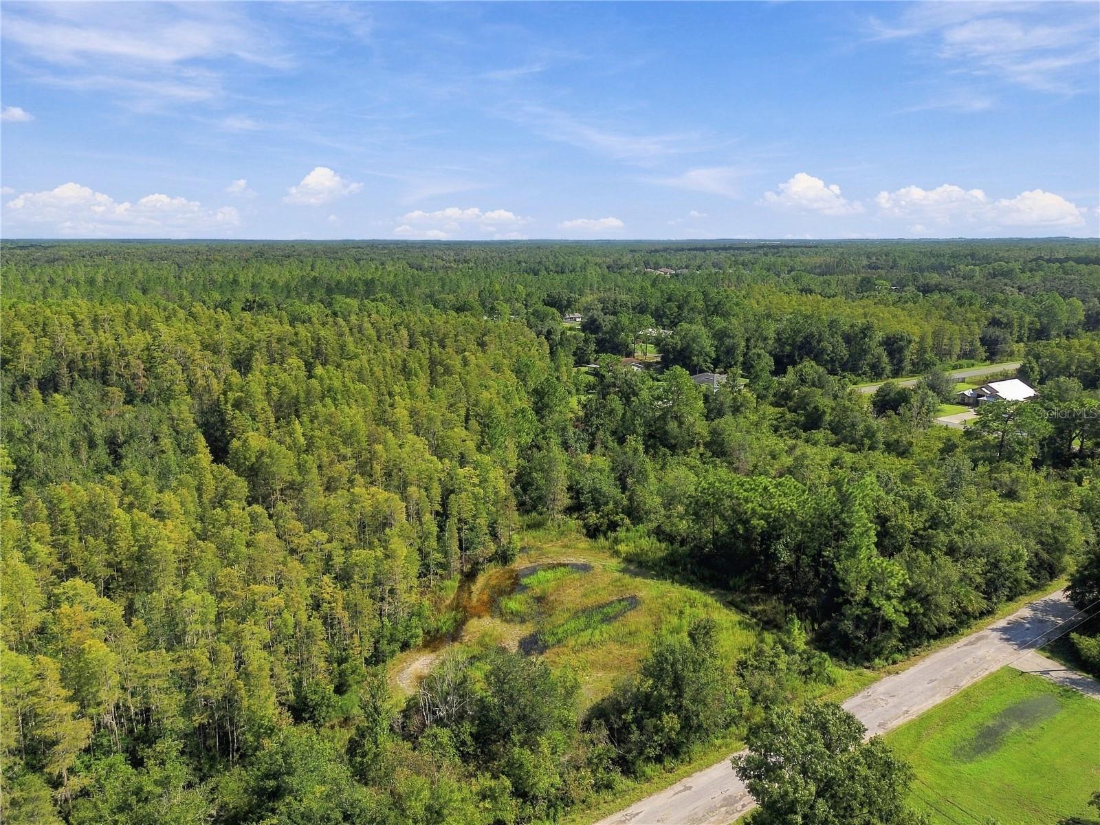 26633 Pheasant Run Property Photo 4