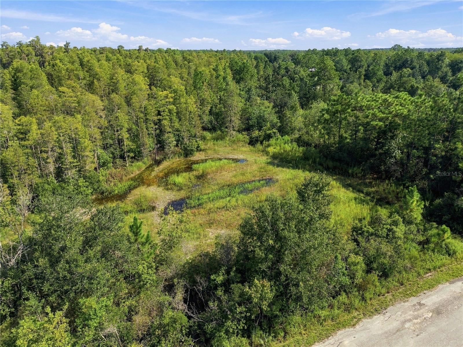 26633 Pheasant Run Property Photo 5
