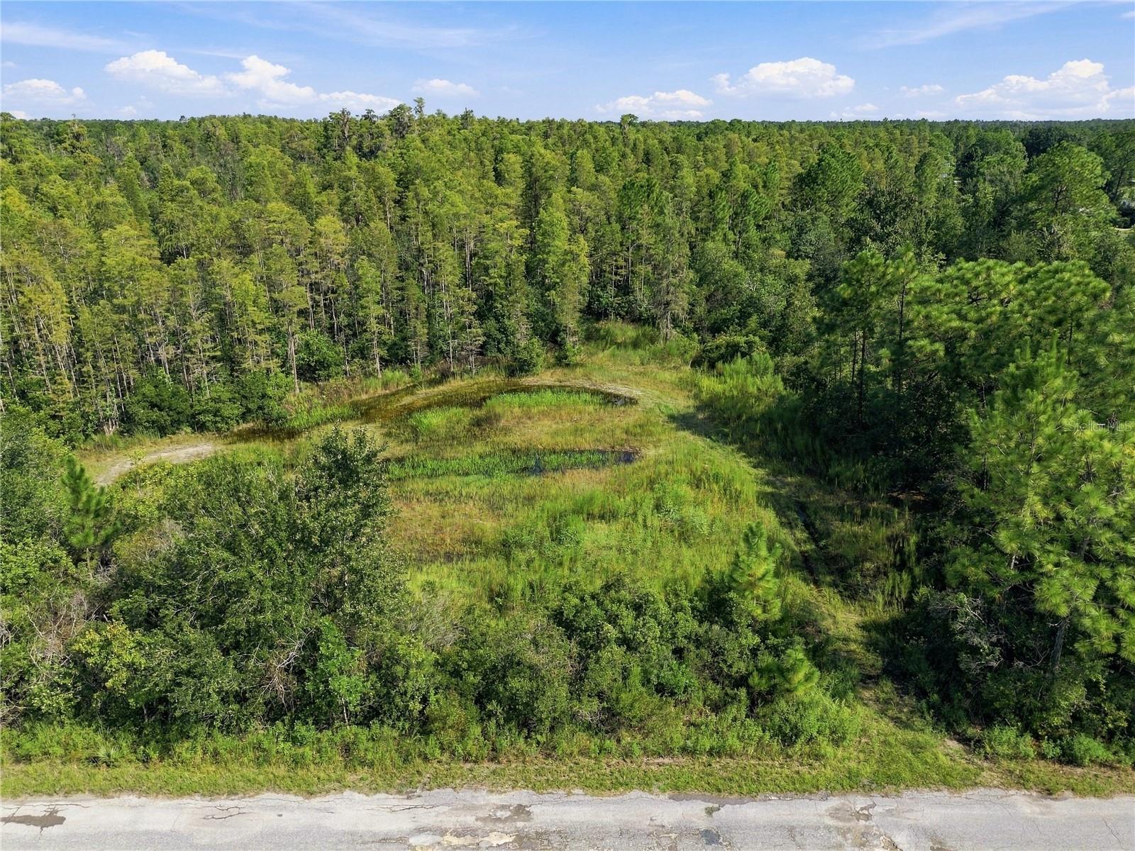 26633 Pheasant Run Property Photo 6