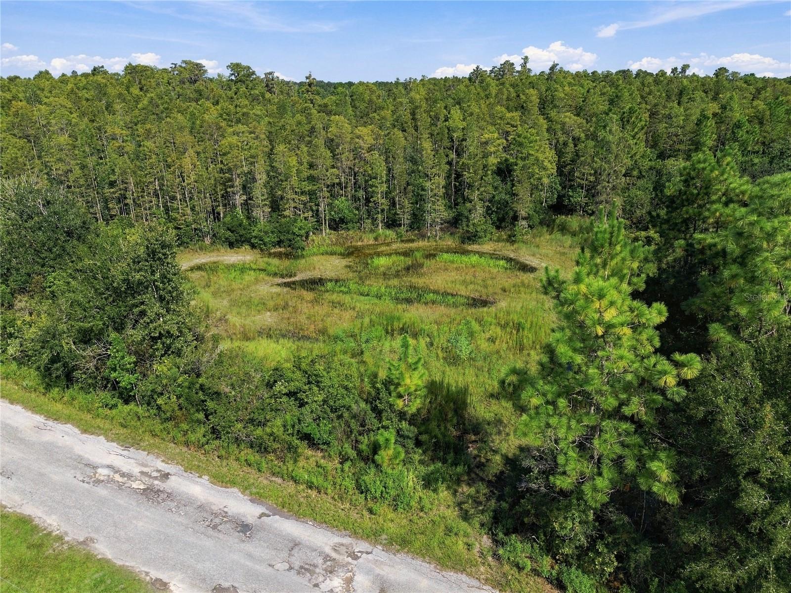26633 Pheasant Run Property Photo 7