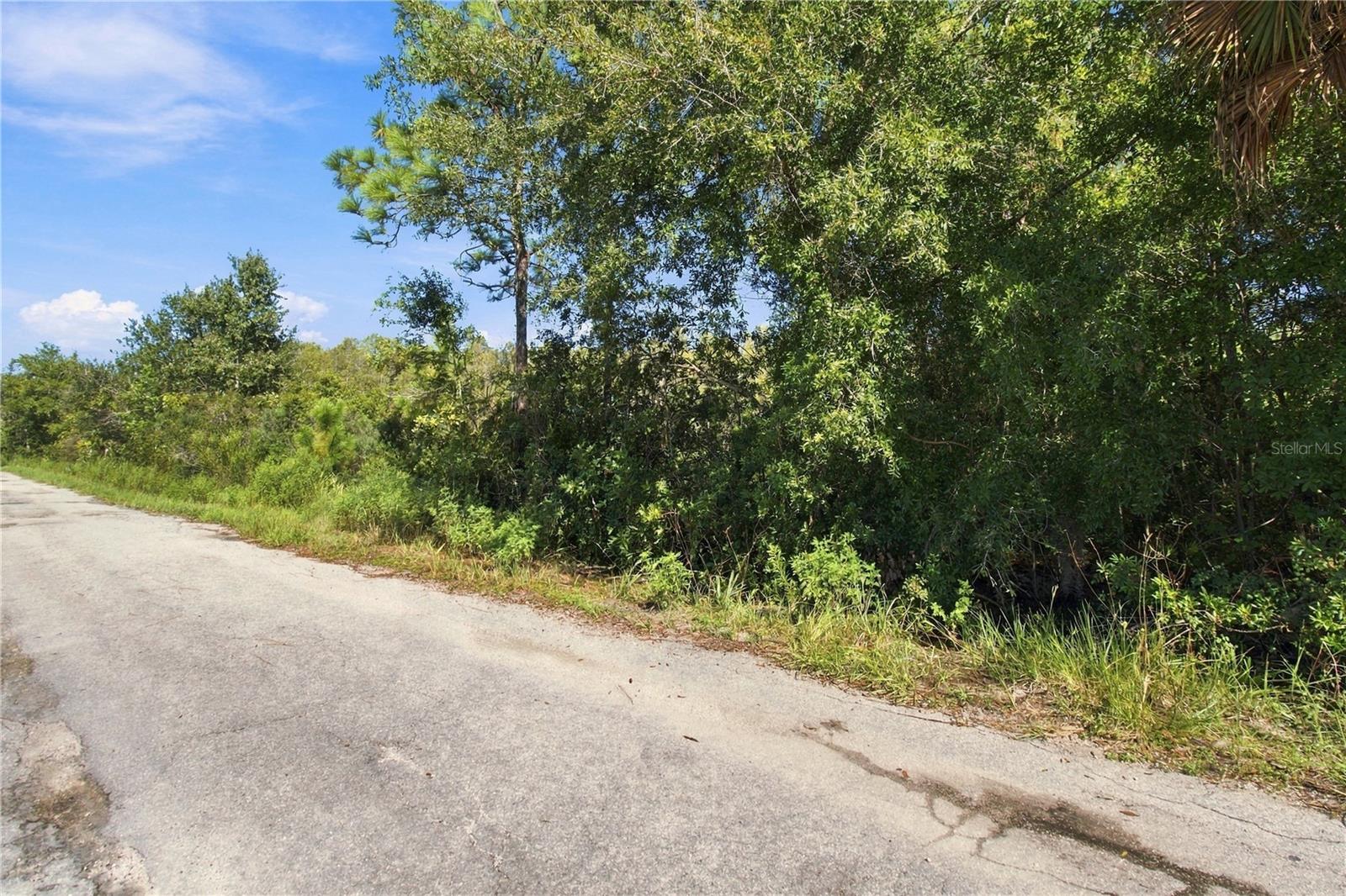 26633 Pheasant Run Property Photo 8