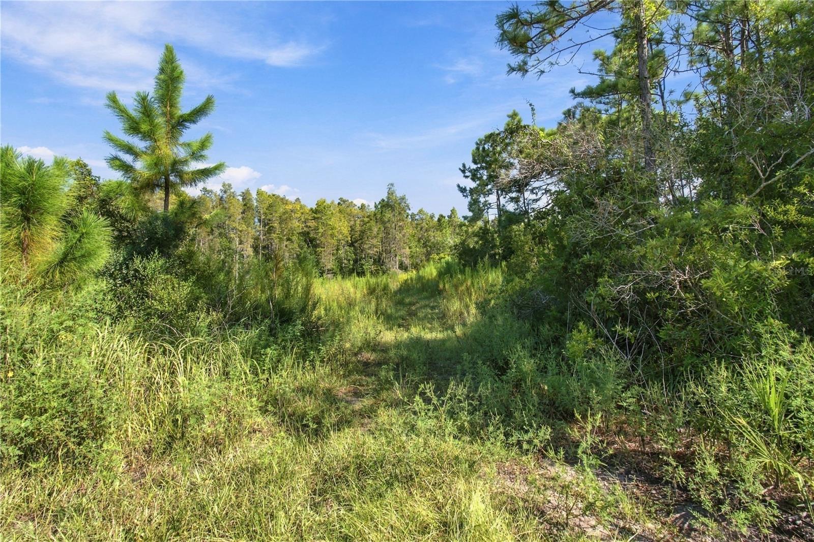 26633 Pheasant Run Property Photo 9