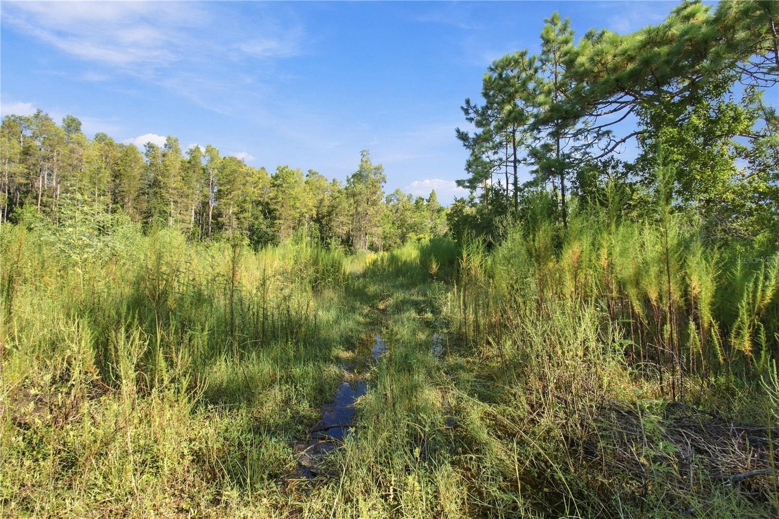 26633 Pheasant Run Property Photo 10