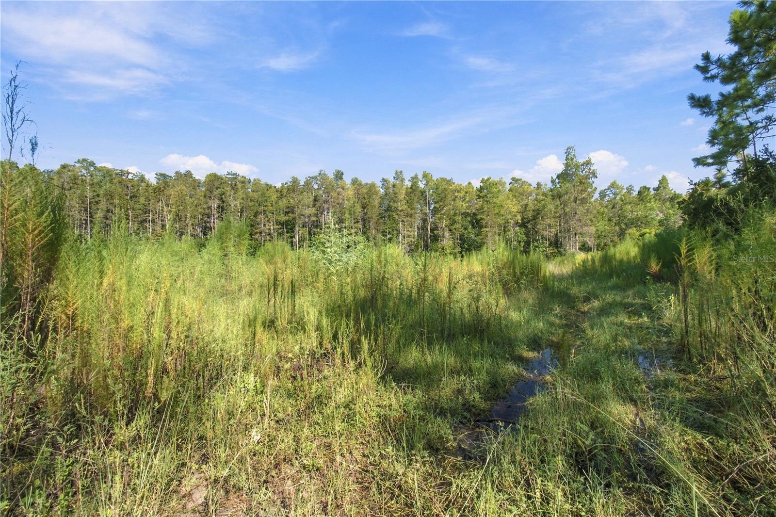 26633 Pheasant Run Property Photo 11