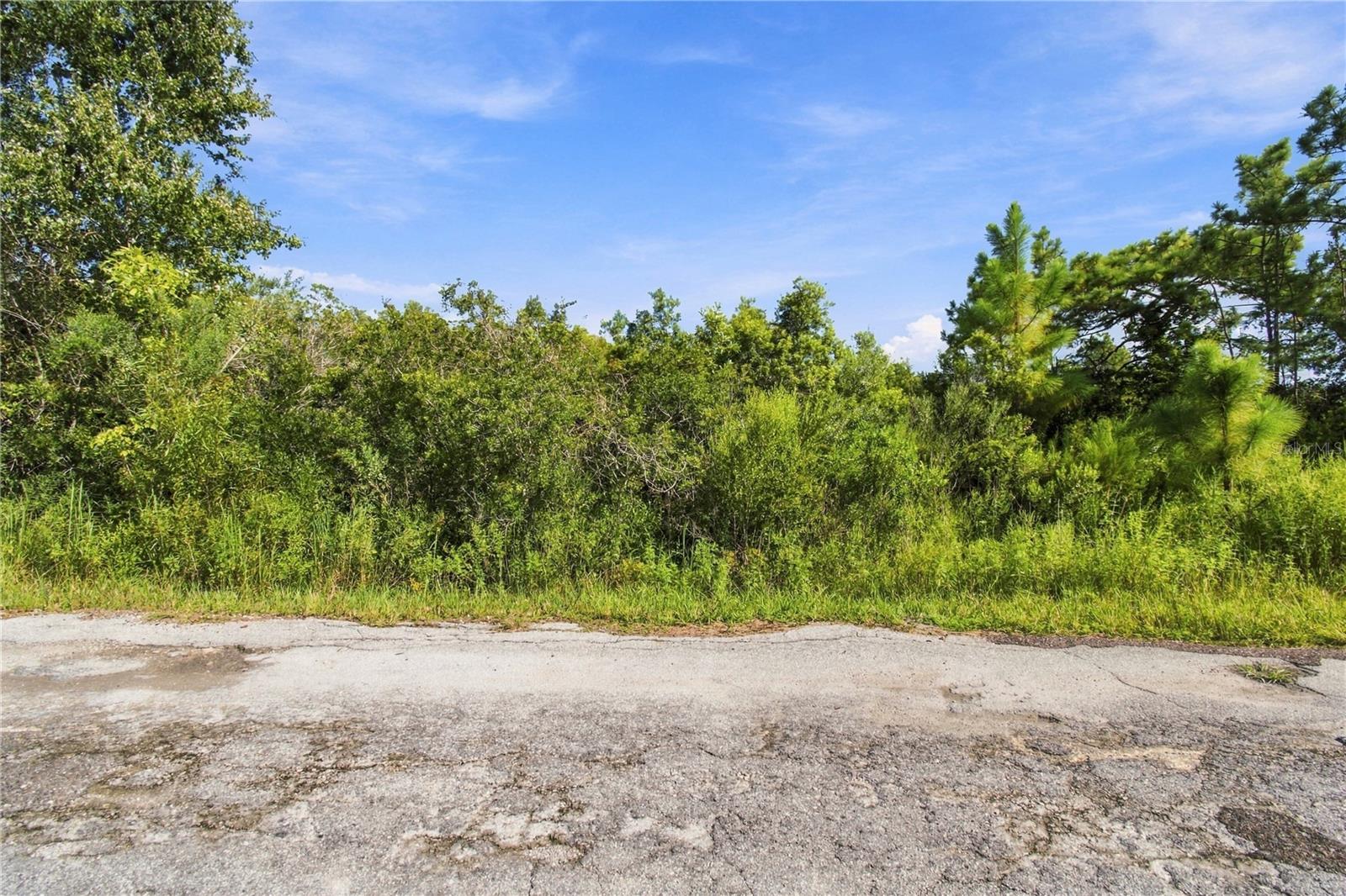 26633 Pheasant Run Property Photo 12