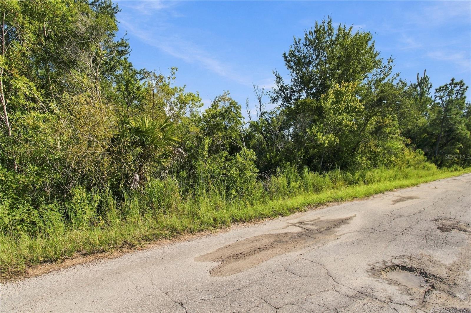 26633 Pheasant Run Property Photo 13