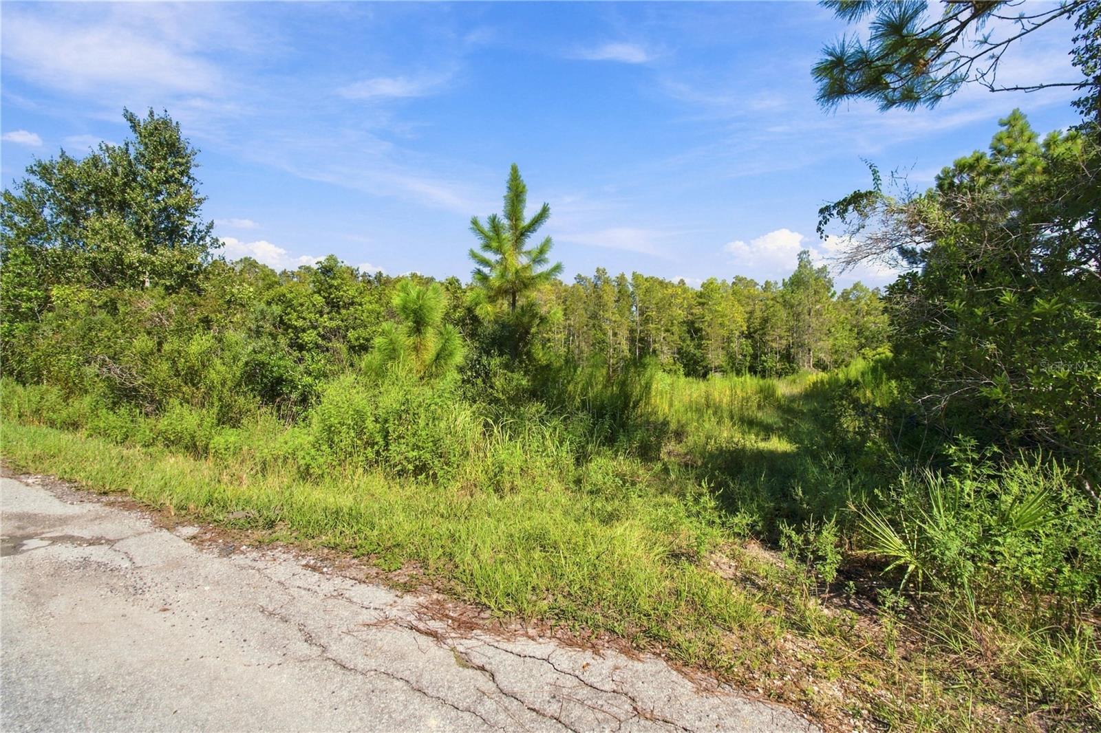 26633 Pheasant Run Property Photo 14