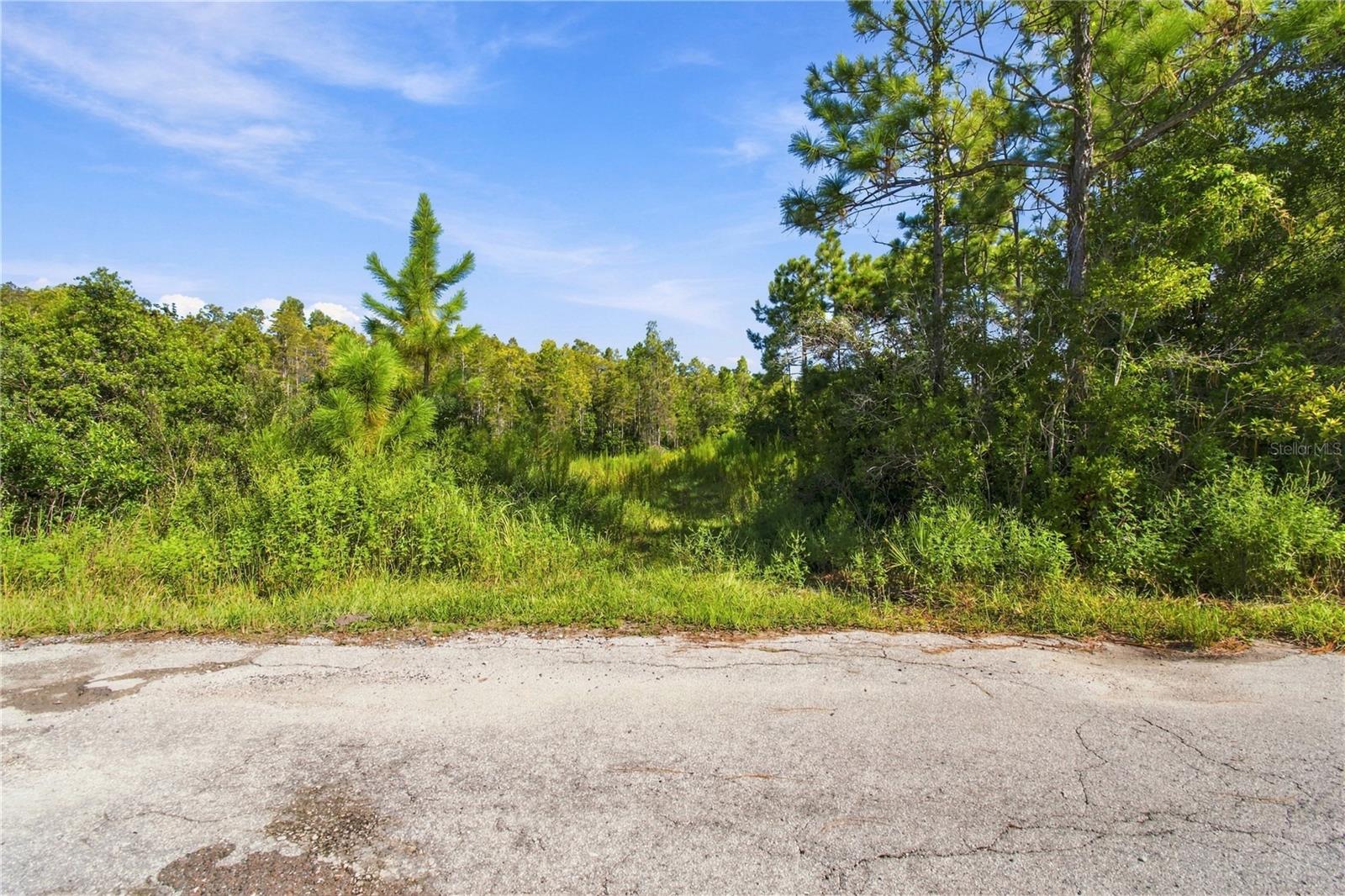 26633 Pheasant Run Property Photo 15