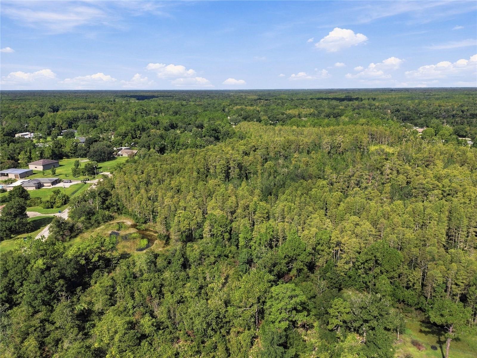 26633 Pheasant Run Property Photo 20