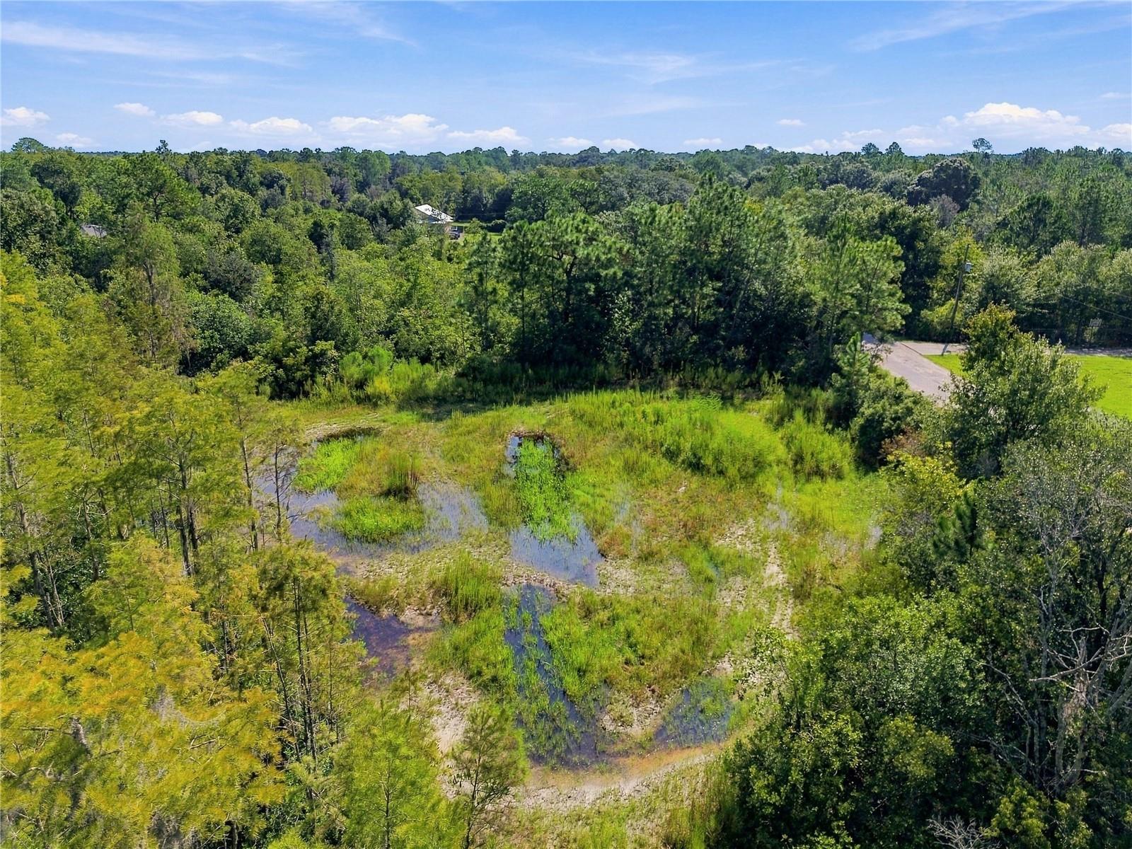 26633 Pheasant Run Property Photo 26