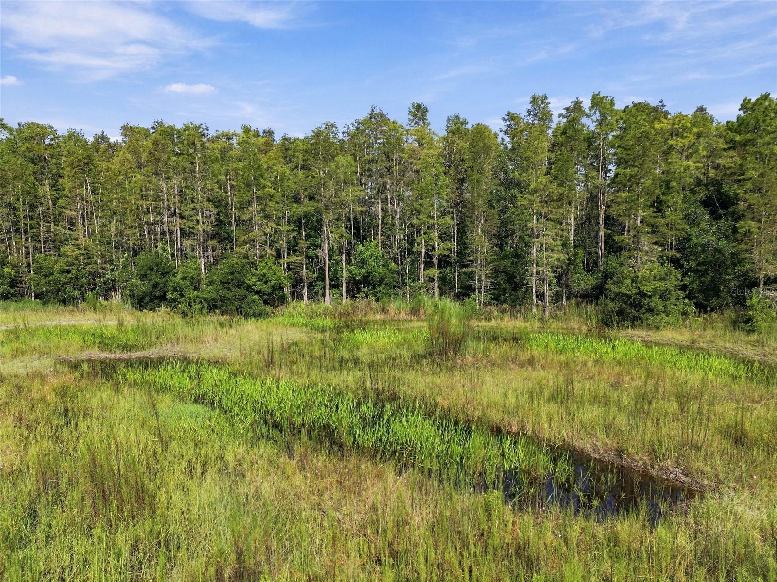 26633 Pheasant Run Property Photo 27