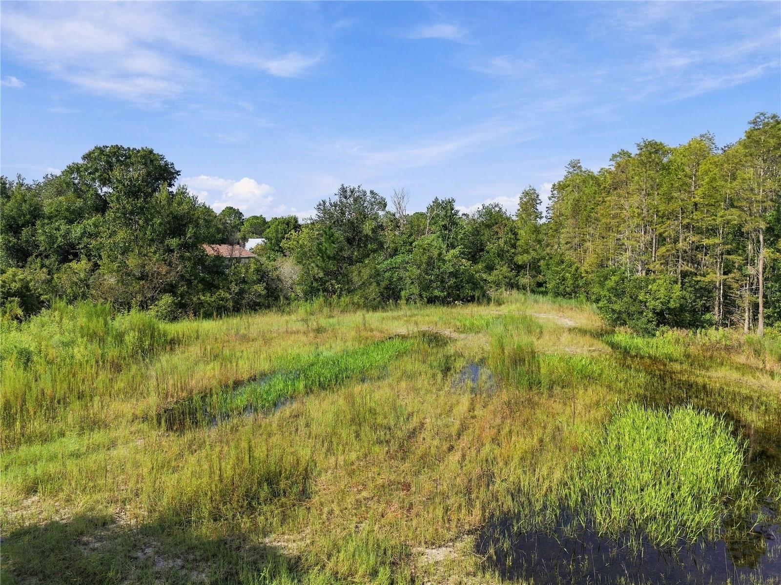 26633 Pheasant Run Property Photo 28