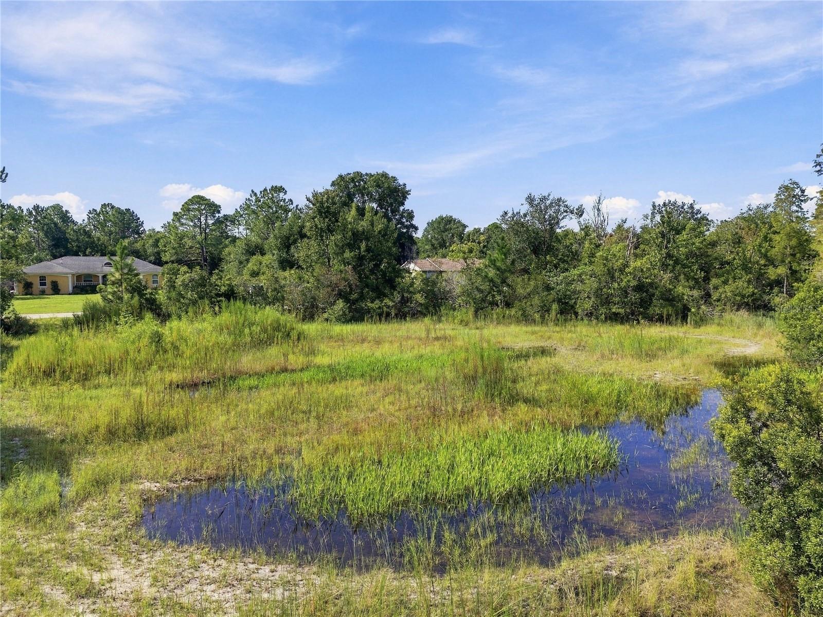 26633 Pheasant Run Property Photo 29