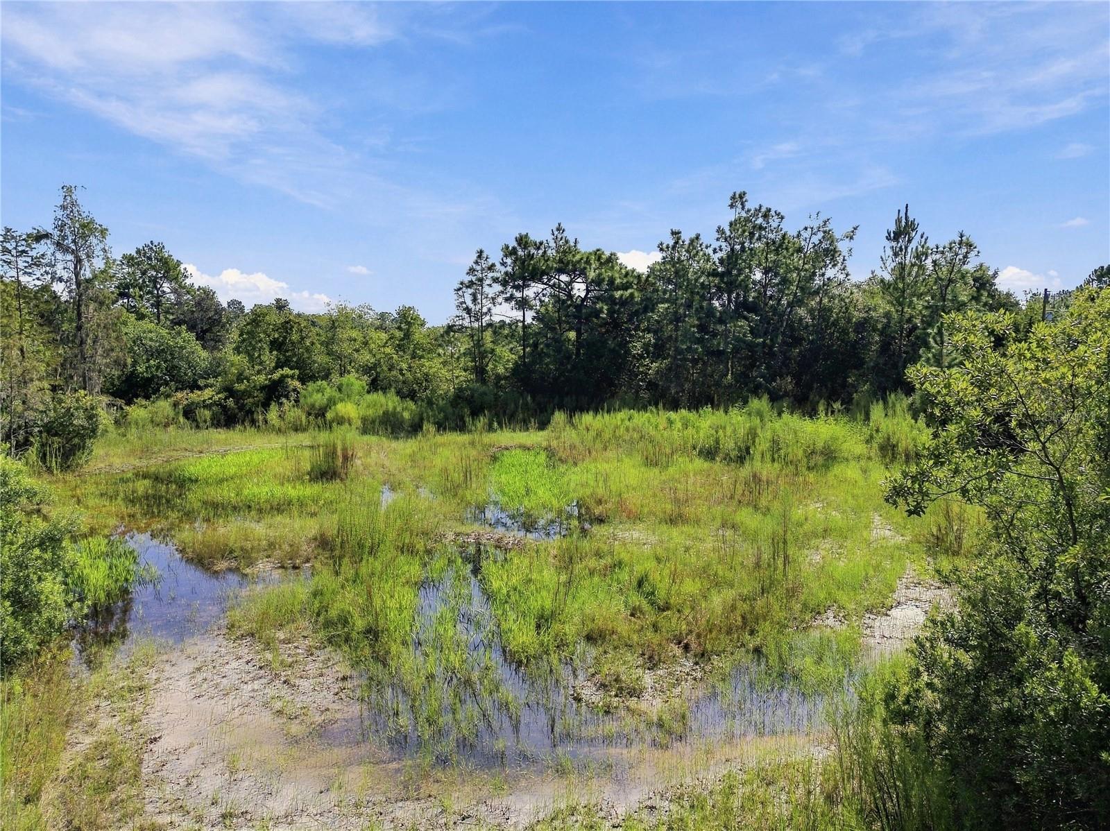 26633 Pheasant Run Property Photo 30