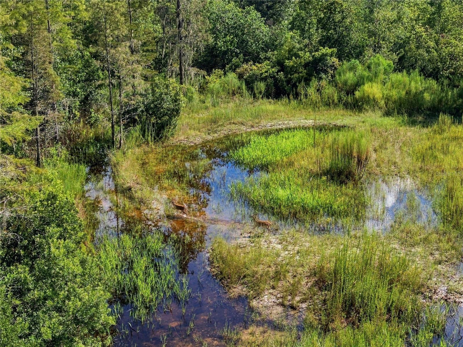 26633 Pheasant Run Property Photo 32