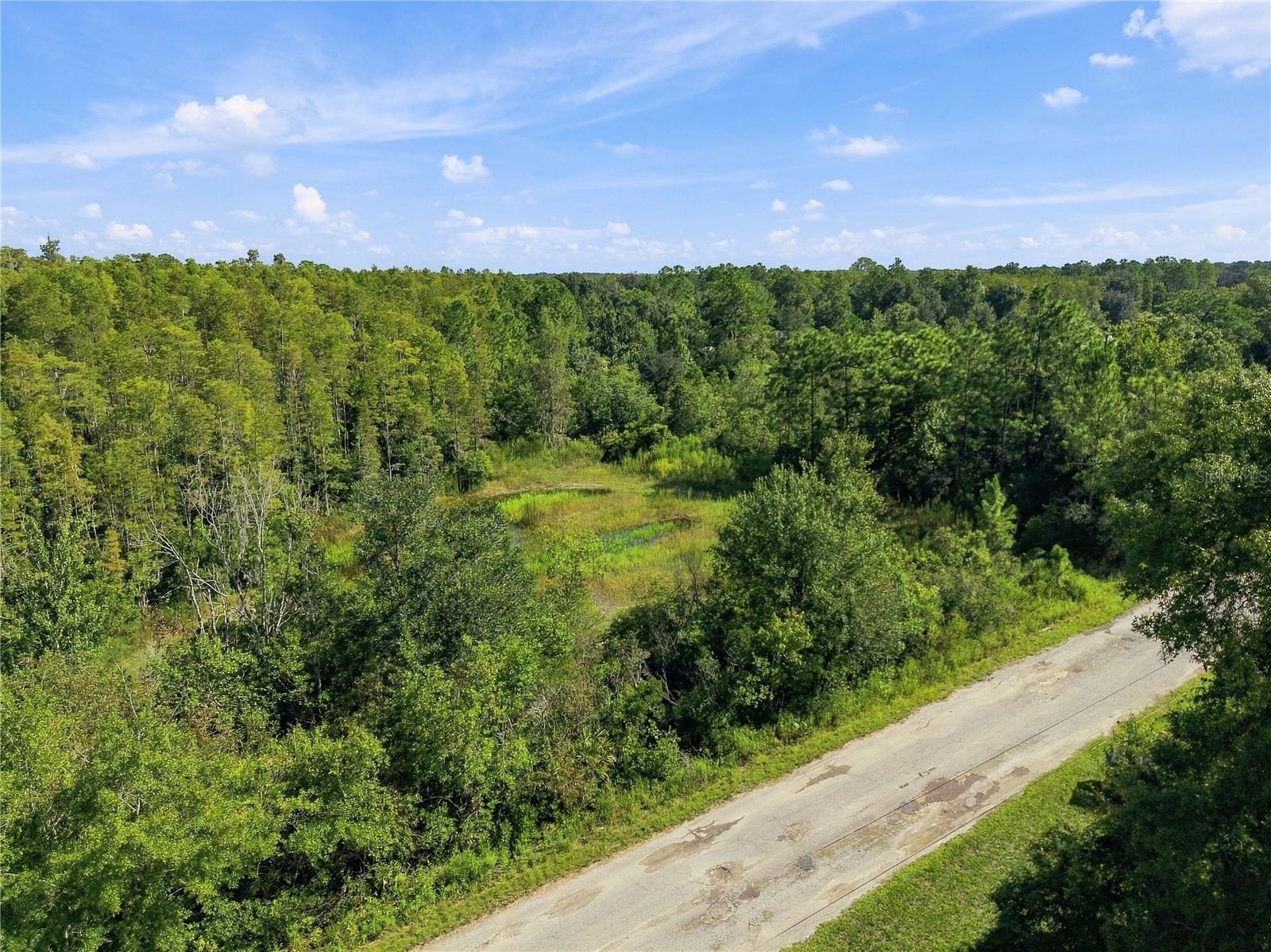 26633 Pheasant Run Property Photo 34