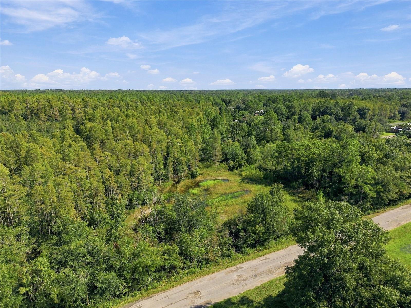 26633 Pheasant Run Property Photo 35