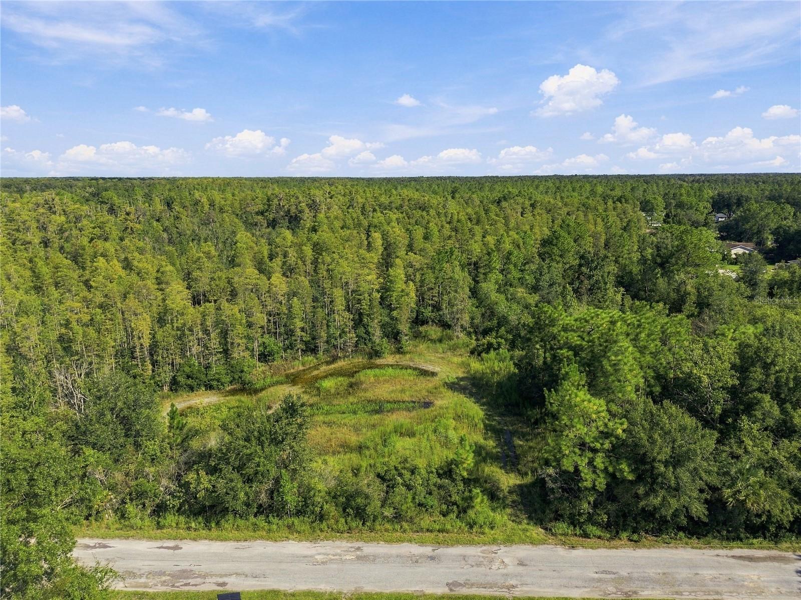 26633 Pheasant Run Property Photo 36