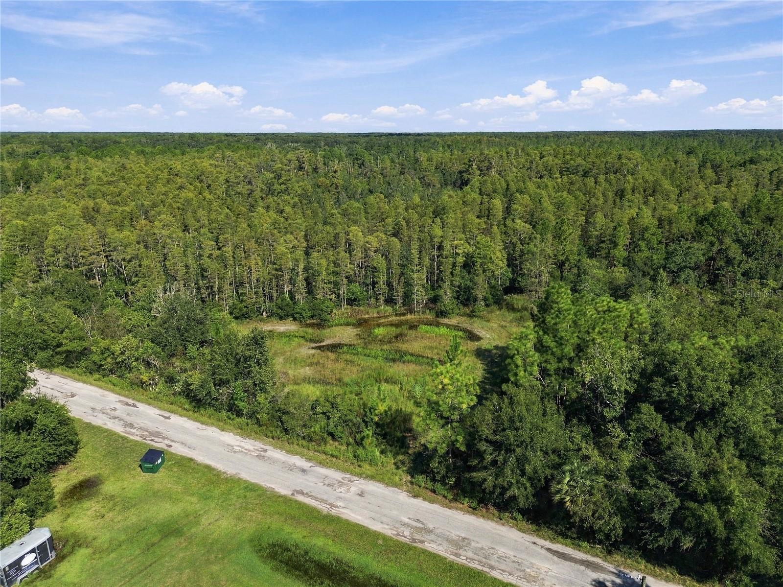 26633 Pheasant Run Property Photo 37