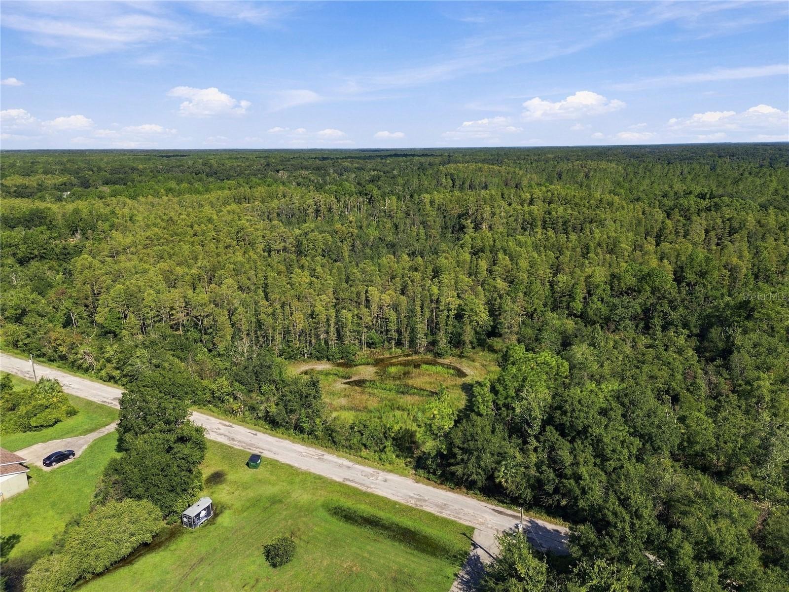 26633 Pheasant Run Property Photo 38
