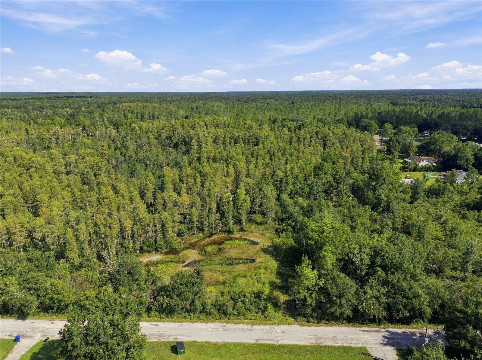 26633 Pheasant Run Property Photo 39