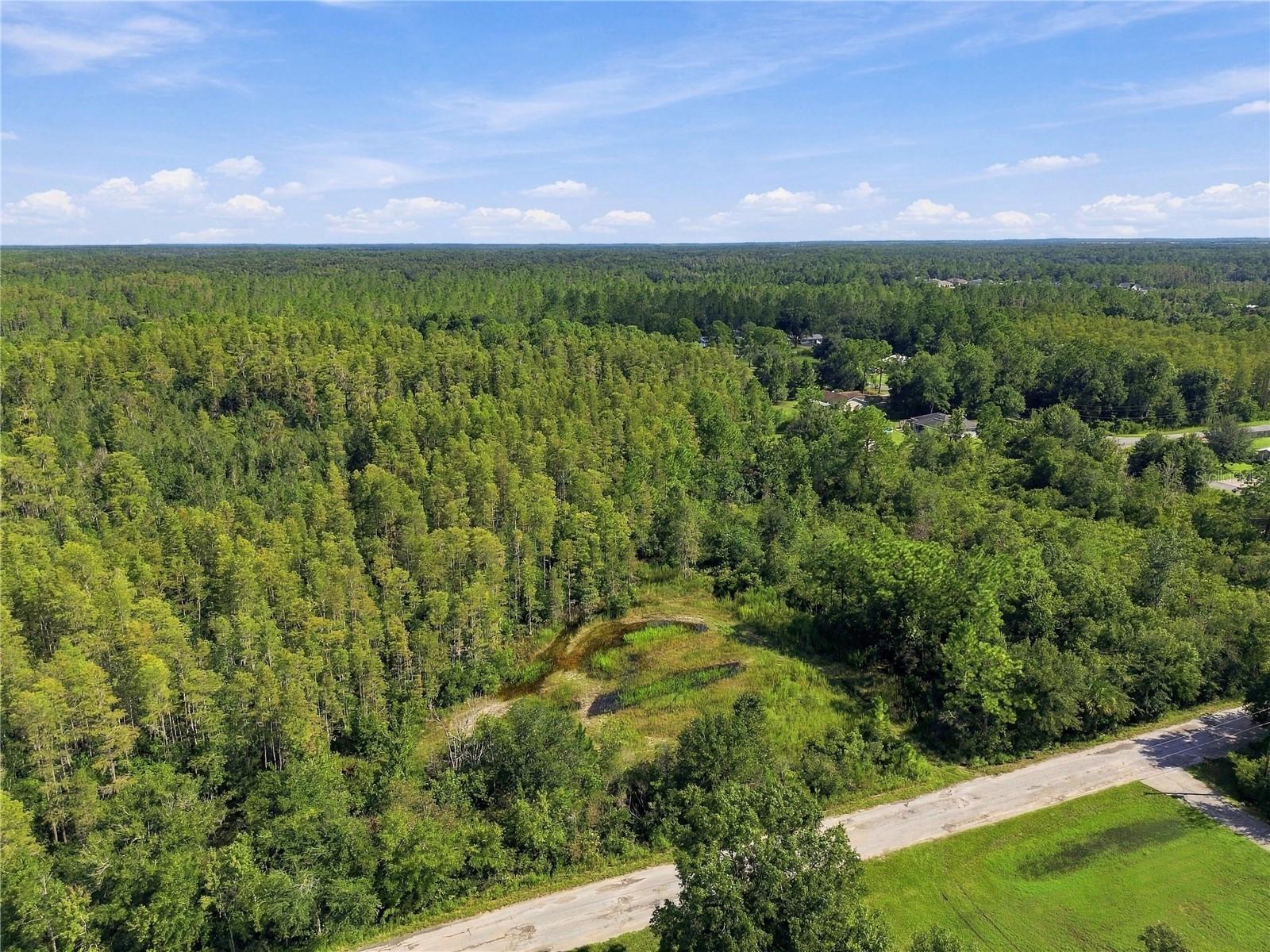 26633 Pheasant Run Property Photo 40