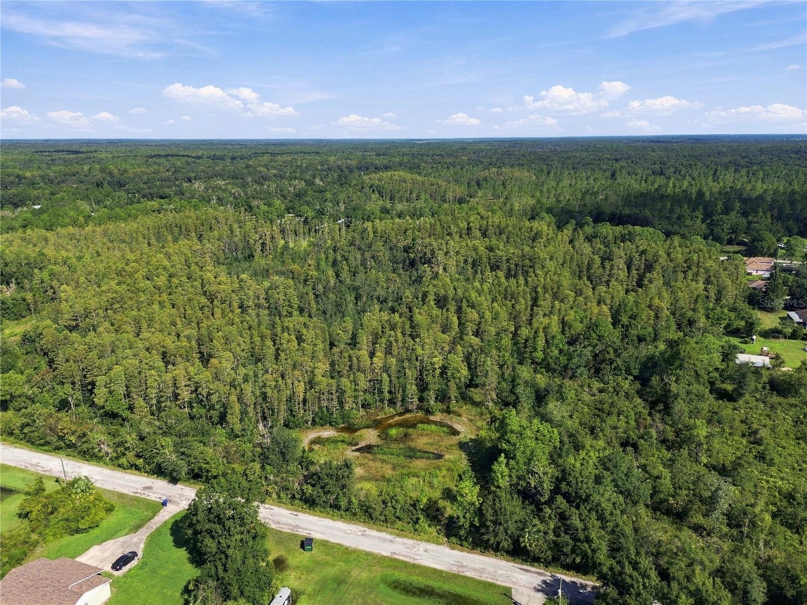 26633 Pheasant Run Property Photo 43