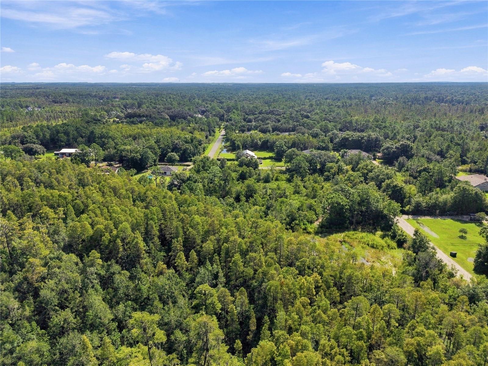 26633 Pheasant Run Property Photo 48